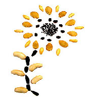 Seeds, Buds, Plantation And Related Products