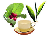 Tea Coffee Industry