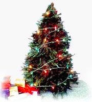 Decorative Tree Lights