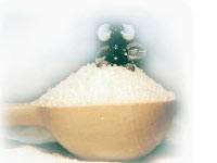 Sugar