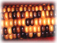 Synthetic Food Colour