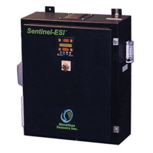 Combustion Controls