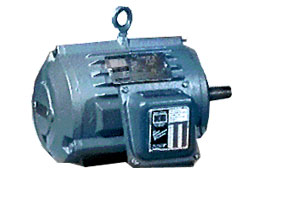 Encapsulated Motors
