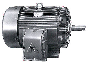 Explosion Proof Motors