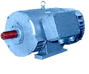 Multi-speed Motors