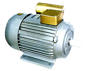Single Phase Motor