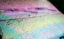 Self Adhesive Foam