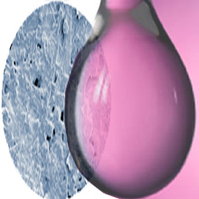 Water Based Adhesives 