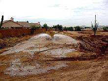 Dust Suppressant