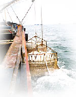 Dredging And Desalting Machinery