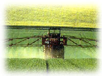 Agro Chemicals And Pesticides