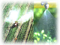 Fungicides