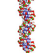 Biotechnology Chemicals