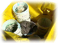 Chemical Waste