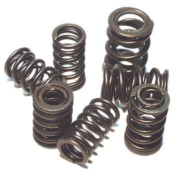 Valve Springs