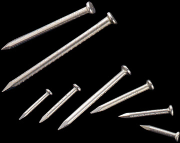 Stainless Steel Nails