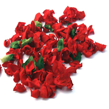 Dried Flowers