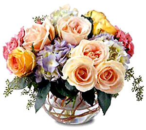 Floral Arrangements