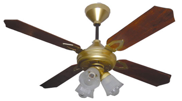 Ceiling Fans
