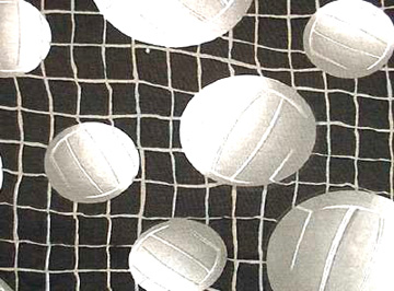 Volleyballs