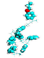 High Polymers