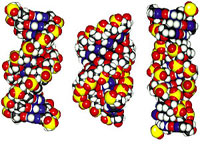 Heterocyclic Compounds