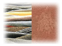 Jacquard Fabric 