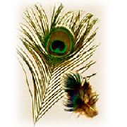 Feathers