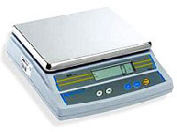 Portable Scale