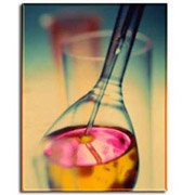 Dyes And Pigments