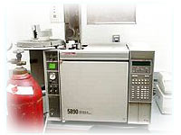 Gas Chromatograph