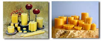 Beewax Products, exporter of Beewax Products , manufacturer of Beewax Products 
