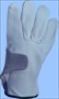 DRIVER GLOVE (DGS/WT216)