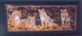 INDIAN PAINTING