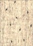 VISCOSE EMBROIDERY ON WILD SILK FABRIC