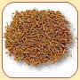 INDIAN SPICES